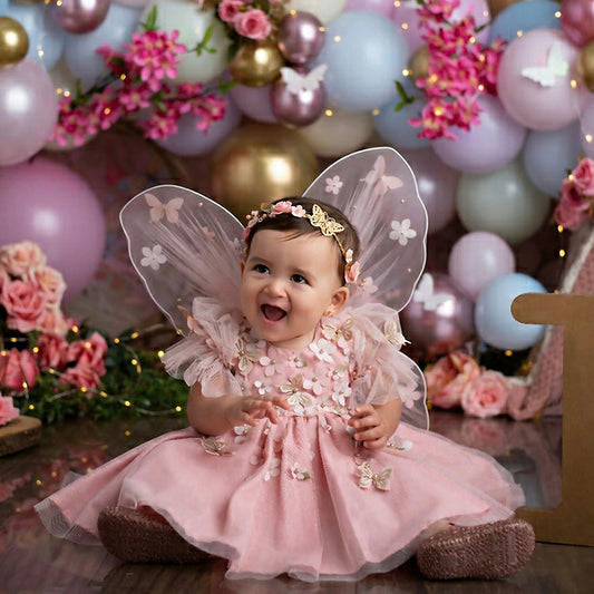 Handmade Butterfly Wings Dress for Little Princess